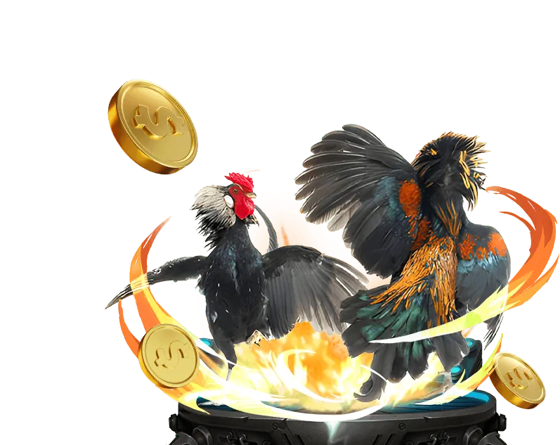 Hướng dẫn chọn nhà cái uy tín